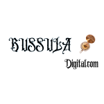 bussula digitalcom